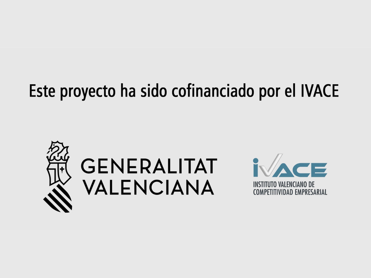 Nuestra empresa recibe una ayuda del IVACE cofinanciada por el Fondo Social Europeo Plus (FSE+)